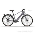 Customized Electric Commuter Bike